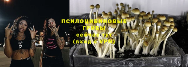гашишное масло Медногорск