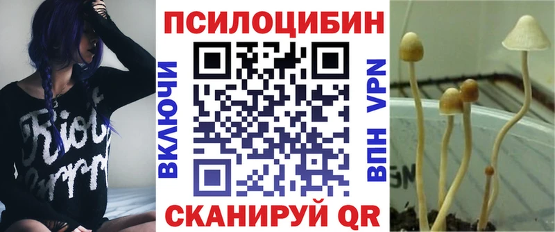где найти наркотики  Кисловодск  Псилоцибиновые грибы мицелий 