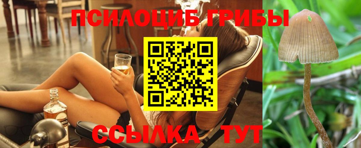 Галлюциногенные грибы Psilocybe  Галлюциногенные грибы прущие грибы  Кисловодск  Вход с VPN 